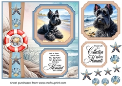 2 Panel Scottish terrier on beach card front 3