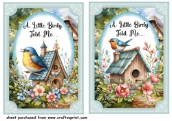 2 A little birdy told me ..... card fronts 2
