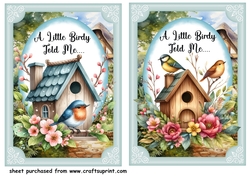 2 A little birdy told me ..... card fronts 6