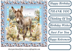 Floral donkey card front 3