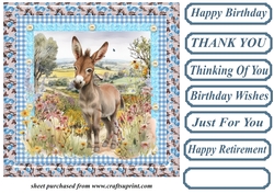 Floral donkey card front 5