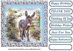 Floral donkey card front 9