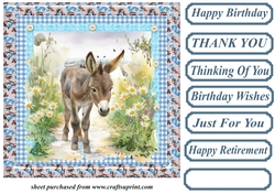 Floral donkey card front 13