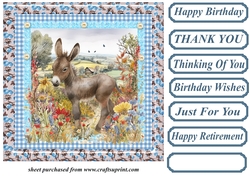 Floral donkey card front 14