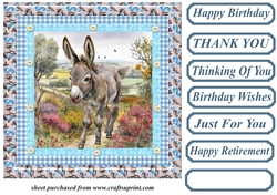 Floral donkey card front 16