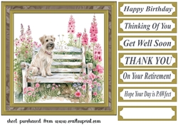 Its a dogs life card front 1