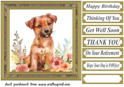 Its a dogs life card front 4