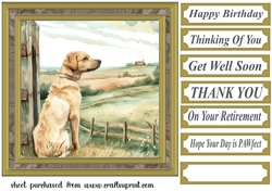 Its a dogs life card front 5