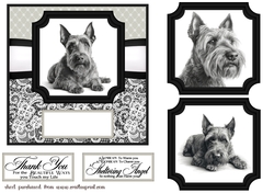 6x6 aprox Mono Scottish terrier card front 1