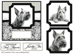 6x6 aprox Mono Scottish terrier card front 2