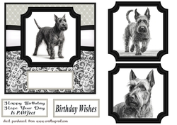 6x6 aprox Mono Scottish terrier card front 3