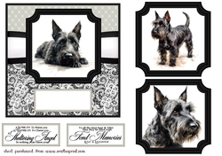 6x6 aprox Mono Scottish terrier card front 6