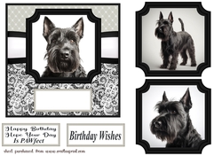 6x6 aprox Mono Scottish terrier card front 9