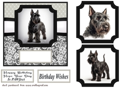 6x6 aprox Mono Scottish terrier card front 10