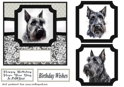 6x6 aprox Mono Scottish terrier card front 11
