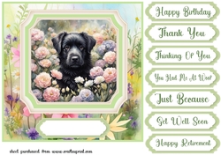 Framed floral puppy card front 23