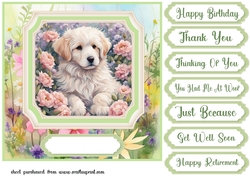 Framed floral puppy card front 24