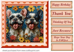 Bright paint effect dog card front 15