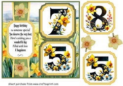 2 Panel age 75/85 daffodil card front