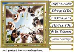 Just checking you are ok card front 1
