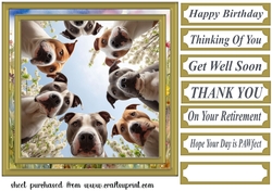 Just checking you are ok card front 2