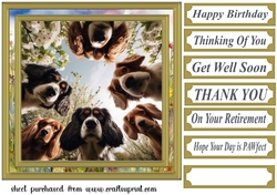 Just checking you are ok card front 3