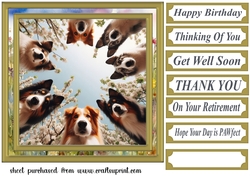 Just checking you are ok card front 4
