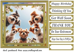 Just checking you are ok card front 6