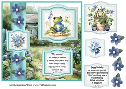 2 Panel frog/toad Birthday card front 1
