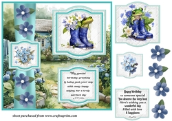 2 Panel frog/toad Birthday card front 2