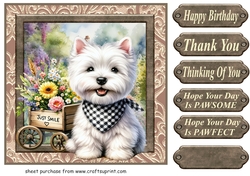 Floral Westie card front 25