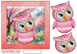 Pink owl Birthday card front