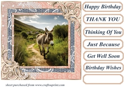 All about the donkey card front 2