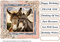All about the donkey card front 3