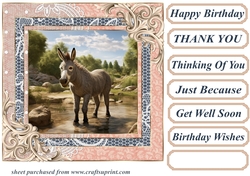All about the donkey card front 6