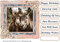 All about the donkey card front 7