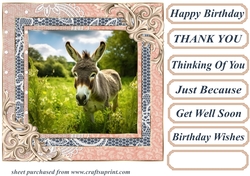 All about the donkey card front 8