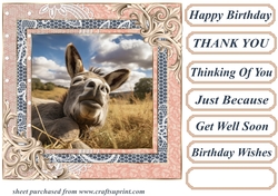 All about the donkey card front 9