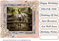 All about the donkey card front 10