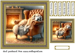 Im just resting my eyes card front 16