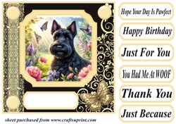 Black and yellow butterfly pup card front 1
