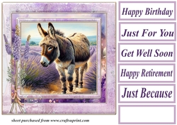 Donkey in a field of lavender card front 3