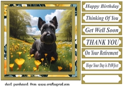 Scottish terrier in buttercup field card front 2