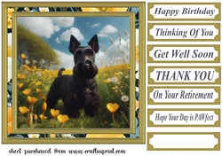 Scottish terrier in buttercup field card front 3