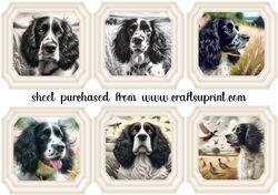 6 Black and white Springer spaniel toppers