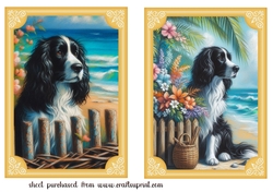2 Beach black and white Springer spaniel card fronts 3