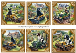 6 The dogs digging the garden again toppers 2