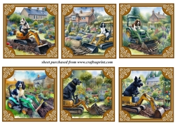 6 The dogs digging the garden again toppers 4