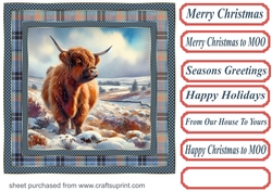Blue check framed Christmas Highland cow card front 2