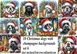 10 Christmas champagne dog backgrounds 6 (png)